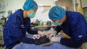 Foto fasilitas klinik hewan di Jakarta