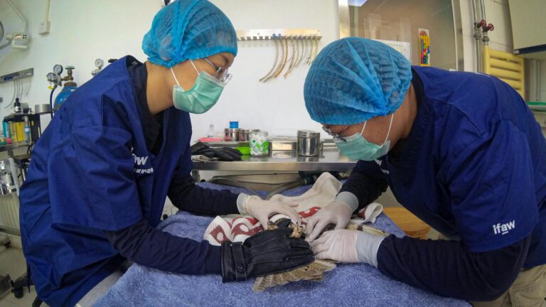 Foto fasilitas klinik hewan di Jakarta